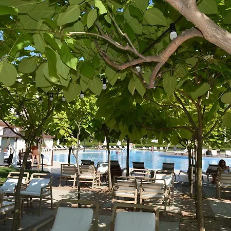 Ganozliev's In Kavatsi Area