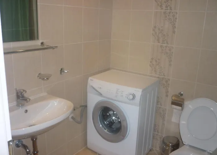 Ganozliev's In Kavatsi Area *